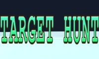 Target Hunt 3D